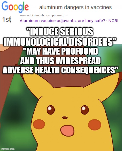 Top google search results on vaccines | "INDUCE SERIOUS IMMUNOLOGICAL DISORDERS"; "MAY HAVE PROFOUND AND THUS WIDESPREAD ADVERSE HEALTH CONSEQUENCES" | image tagged in surprised pikachu high quality | made w/ Imgflip meme maker