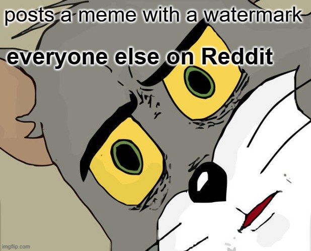 Unsettled Tom | posts a meme with a watermark; everyone else on Reddit | image tagged in memes,unsettled tom | made w/ Imgflip meme maker