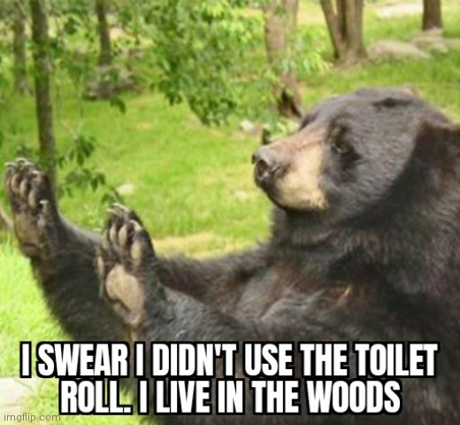 image tagged in bear,woods,toilet paper | made w/ Imgflip meme maker