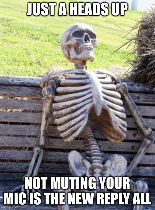 Waiting Skeleton | JUST A HEADS UP; NOT MUTING YOUR MIC IS THE NEW REPLY ALL | image tagged in memes,waiting skeleton | made w/ Imgflip meme maker
