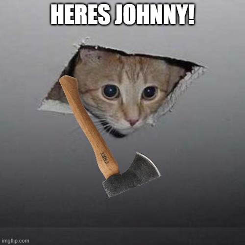 Ceiling Cat Meme | HERES JOHNNY! | image tagged in memes,ceiling cat | made w/ Imgflip meme maker