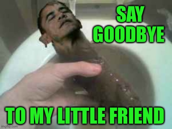 Obama Turd | SAY GOODBYE TO MY LITTLE FRIEND | image tagged in obama turd | made w/ Imgflip meme maker