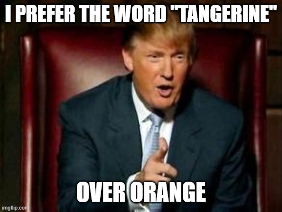 Donald Trump | I PREFER THE WORD "TANGERINE" OVER ORANGE | image tagged in donald trump | made w/ Imgflip meme maker