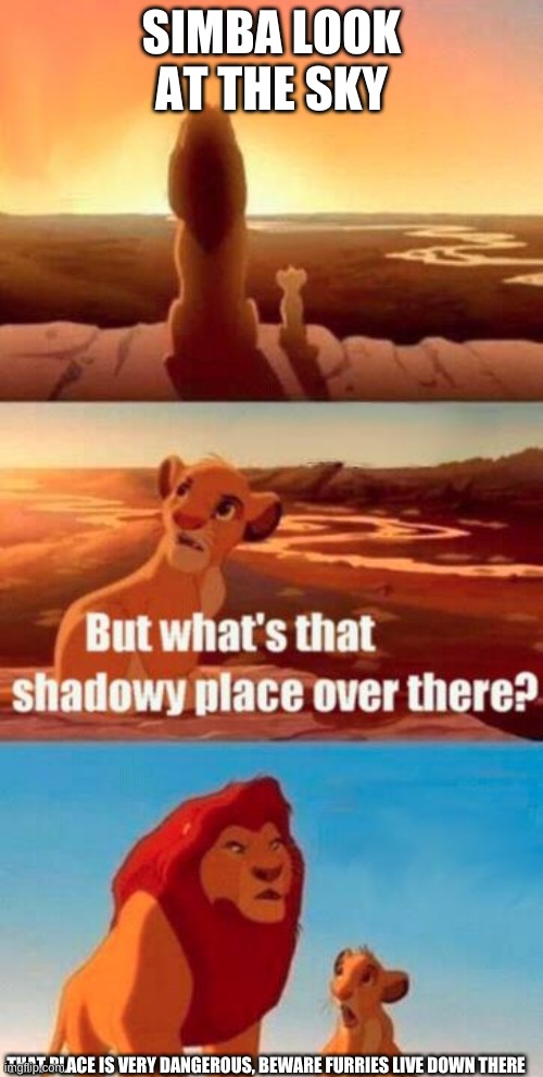 lion king light touches shadowy place kek | SIMBA LOOK AT THE SKY; THAT PLACE IS VERY DANGEROUS, BEWARE FURRIES LIVE DOWN THERE | image tagged in lion king light touches shadowy place kek | made w/ Imgflip meme maker