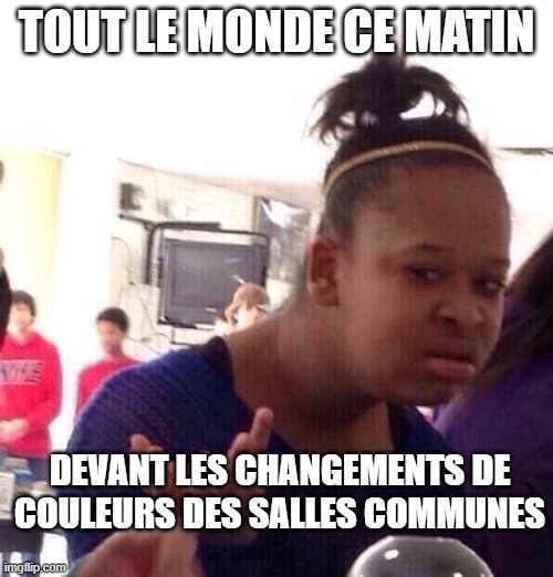 Black Girl Wat Meme | TOUT LE MONDE CE MATIN; DEVANT LES CHANGEMENTS DE COULEURS DES SALLES COMMUNES | image tagged in memes,black girl wat | made w/ Imgflip meme maker
