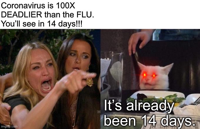 Woman Yelling At Cat | Coronavirus is 100X DEADLIER than the FLU. You’ll see in 14 days!!! It’s already been 14 days. | image tagged in memes,woman yelling at cat | made w/ Imgflip meme maker