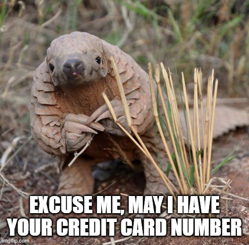 EXCUSE ME, MAY I HAVE YOUR CREDIT CARD NUMBER | image tagged in credit card,cute | made w/ Imgflip meme maker