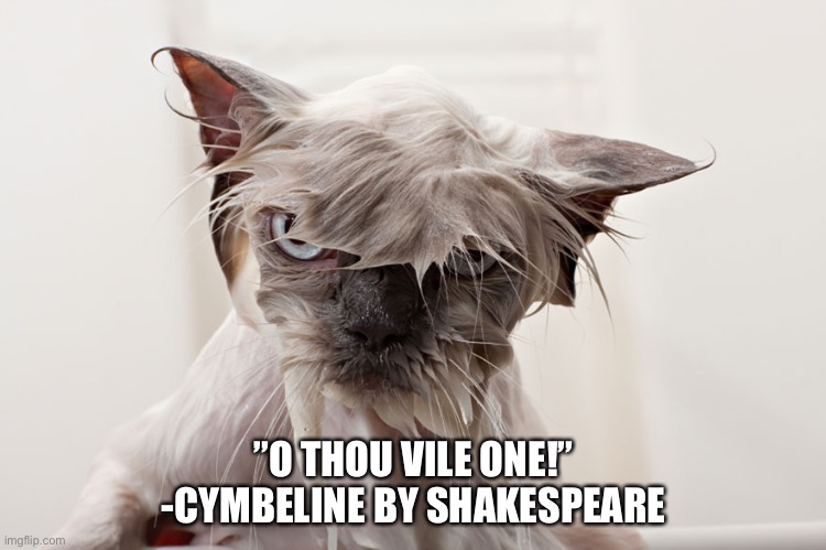 O thou vile one! | ”O THOU VILE ONE!”
-CYMBELINE BY SHAKESPEARE | image tagged in grumpy cat,william shakespeare,angry wet cat | made w/ Imgflip meme maker