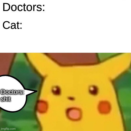 Surprised Pikachu Meme | Doctors: Cat: Doctors: shit | image tagged in memes,surprised pikachu | made w/ Imgflip meme maker