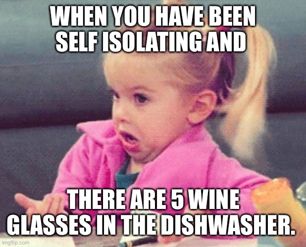 little girl confused | WHEN YOU HAVE BEEN SELF ISOLATING AND; THERE ARE 5 WINE GLASSES IN THE DISHWASHER. | image tagged in little girl confused | made w/ Imgflip meme maker