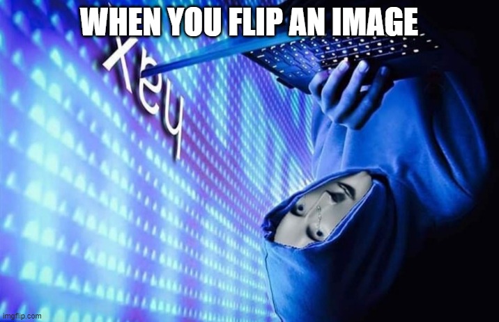 hax | WHEN YOU FLIP AN IMAGE | image tagged in hax,flipped picture,stonks | made w/ Imgflip meme maker