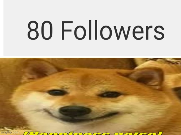 Thanks everyone for 80 followers!!!! | image tagged in followers,happiness noise,dog,thanks | made w/ Imgflip meme maker