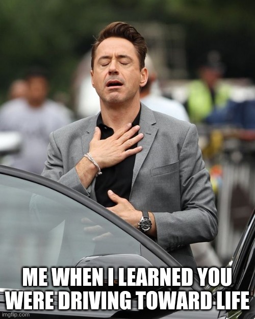 Robert Downey Jr | ME WHEN I LEARNED YOU WERE DRIVING TOWARD LIFE | image tagged in robert downey jr | made w/ Imgflip meme maker