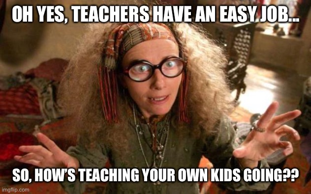 funny harry potter professor | OH YES, TEACHERS HAVE AN EASY JOB... SO, HOW’S TEACHING YOUR OWN KIDS GOING?? | image tagged in funny harry potter professor | made w/ Imgflip meme maker