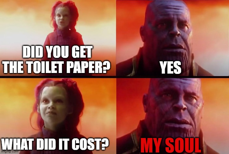 thanos what did it cost | YES; DID YOU GET THE TOILET PAPER? WHAT DID IT COST? MY SOUL | image tagged in thanos what did it cost | made w/ Imgflip meme maker