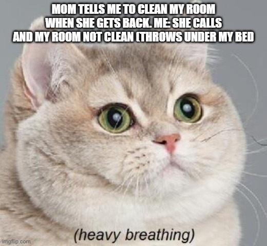 Heavy Breathing Cat Meme | MOM TELLS ME TO CLEAN MY ROOM WHEN SHE GETS BACK. ME: SHE CALLS AND MY ROOM NOT CLEAN (THROWS UNDER MY BED | image tagged in memes,heavy breathing cat | made w/ Imgflip meme maker