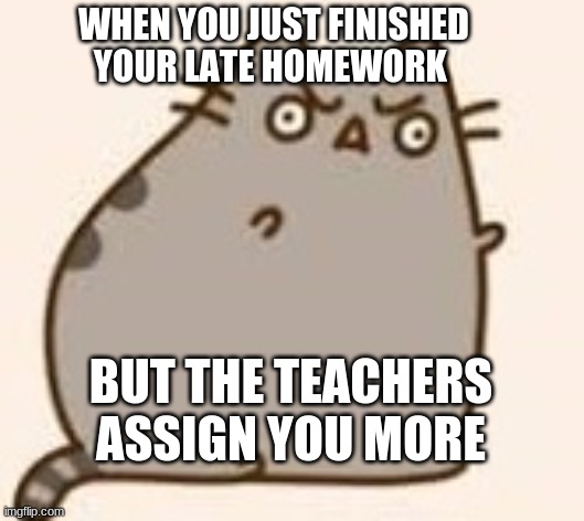 Y U NO PUSHEEN | WHEN YOU JUST FINISHED YOUR LATE HOMEWORK; BUT THE TEACHERS ASSIGN YOU MORE | image tagged in y u no pusheen | made w/ Imgflip meme maker