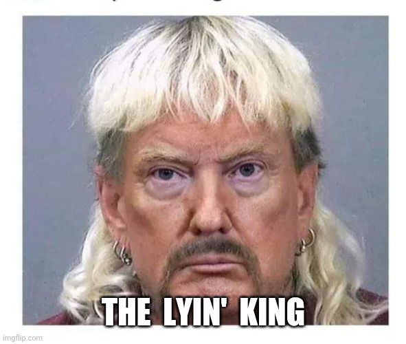 Don Exotic | THE  LYIN'  KING | image tagged in the lyin' king,joe exotic,donald trump,meth,tiger king | made w/ Imgflip meme maker