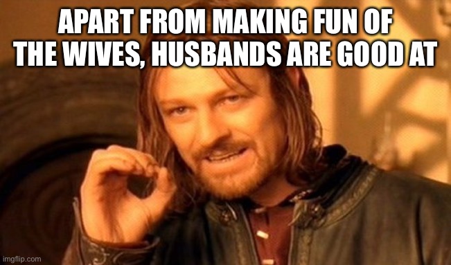 One Does Not Simply Meme | APART FROM MAKING FUN OF THE WIVES, HUSBANDS ARE GOOD AT | image tagged in memes,one does not simply | made w/ Imgflip meme maker