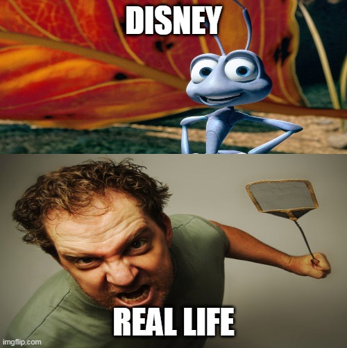 Disney vs real life | DISNEY; REAL LIFE | image tagged in disney | made w/ Imgflip meme maker