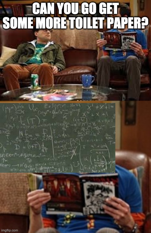 NO | CAN YOU GO GET SOME MORE TOILET PAPER? | image tagged in coronavirus | made w/ Imgflip meme maker