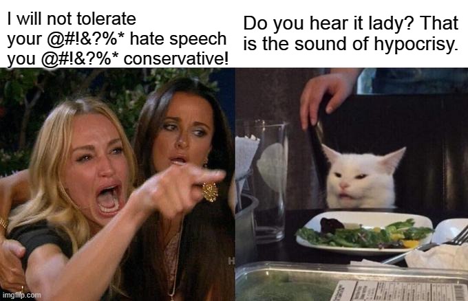 Politicat #6 | I will not tolerate your @#!&?%* hate speech you @#!&?%* conservative! Do you hear it lady? That is the sound of hypocrisy. | image tagged in memes,woman yelling at cat,crazy lady,republican,funny | made w/ Imgflip meme maker
