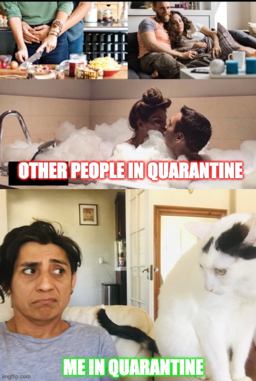 OTHER PEOPLE IN QUARANTINE; ME IN QUARANTINE | image tagged in coronavirus,quarantine,cat | made w/ Imgflip meme maker