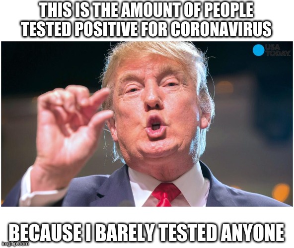Please stop calling COVID-19 a hoax | THIS IS THE AMOUNT OF PEOPLE TESTED POSITIVE FOR CORONAVIRUS; BECAUSE I BARELY TESTED ANYONE | image tagged in donald trump small brain,covid-19,stupid trump | made w/ Imgflip meme maker