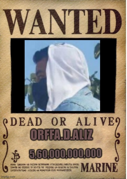 one-piece-wanted-poster-template-imgflip
