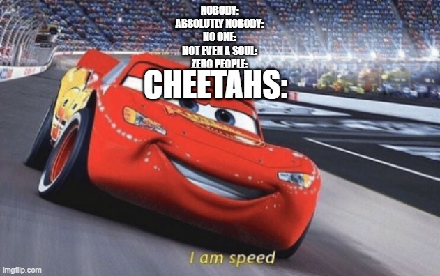 I am speed | NOBODY:
ABSOLUTLY NOBODY:
NO ONE:
NOT EVEN A SOUL:
ZERO PEOPLE:; CHEETAHS: | image tagged in i am speed | made w/ Imgflip meme maker
