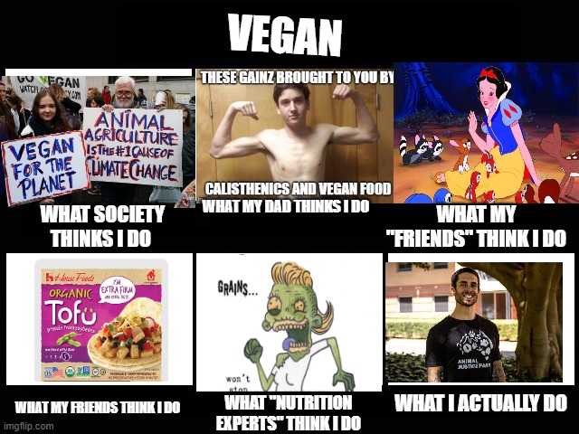 What my friends think I do | VEGAN; WHAT MY DAD THINKS I DO; WHAT SOCIETY THINKS I DO; WHAT MY "FRIENDS" THINK I DO; WHAT I ACTUALLY DO; WHAT MY FRIENDS THINK I DO; WHAT "NUTRITION EXPERTS" THINK I DO | image tagged in what my friends think i do | made w/ Imgflip meme maker