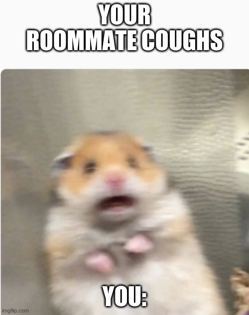 paniked hamster | YOUR ROOMMATE COUGHS; YOU: | image tagged in paniked hamster | made w/ Imgflip meme maker