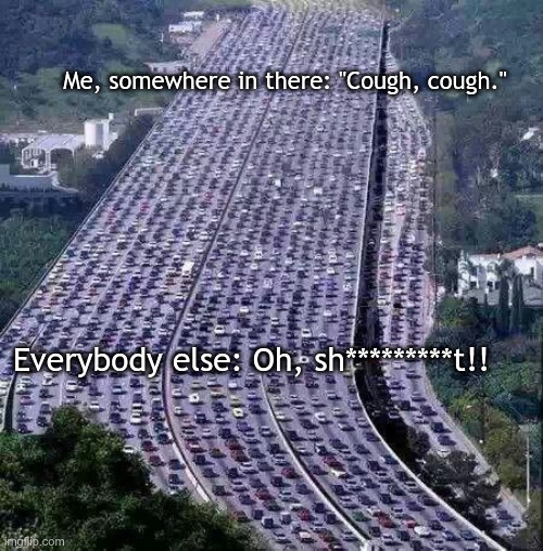 worlds biggest traffic jam | Me, somewhere in there: "Cough, cough."; Everybody else: Oh, sh*********t!! | image tagged in worlds biggest traffic jam | made w/ Imgflip meme maker