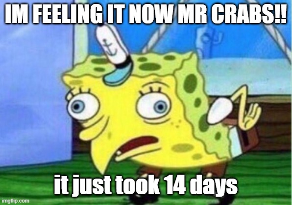 Mocking Spongebob | IM FEELING IT NOW MR CRABS!! it just took 14 days | image tagged in memes,mocking spongebob | made w/ Imgflip meme maker