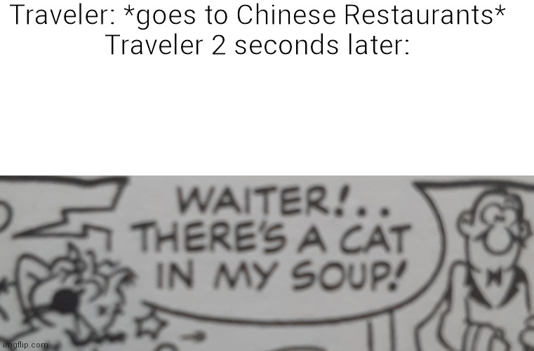 Waiter! There's a cat in my soup! | Traveler: *goes to Chinese Restaurants*
Traveler 2 seconds later: | image tagged in waiter there's a cat in my soup | made w/ Imgflip meme maker