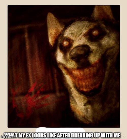 Smile Dog | WHAT MY EX LOOKS LIKE AFTER BREAKING UP WITH ME | image tagged in smile dog | made w/ Imgflip meme maker