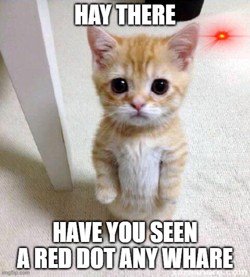 Cute Cat | HAY THERE; HAVE YOU SEEN A RED DOT ANY WHARE | image tagged in memes,cute cat | made w/ Imgflip meme maker