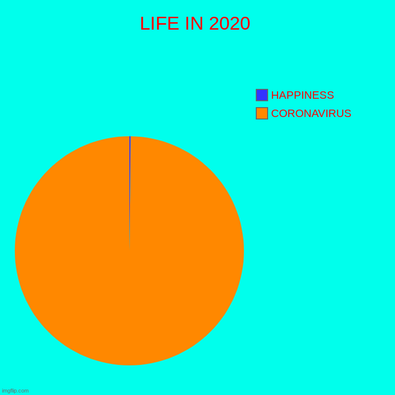 LIFE IN 2020 | CORONAVIRUS, HAPPINESS | image tagged in charts,pie charts | made w/ Imgflip chart maker