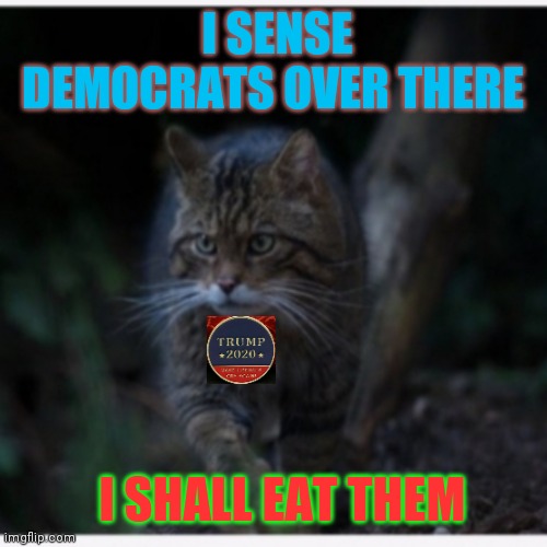 Wildcat eats Dems | I SENSE DEMOCRATS OVER THERE; I SHALL EAT THEM | image tagged in cats,liberals,suck it | made w/ Imgflip meme maker