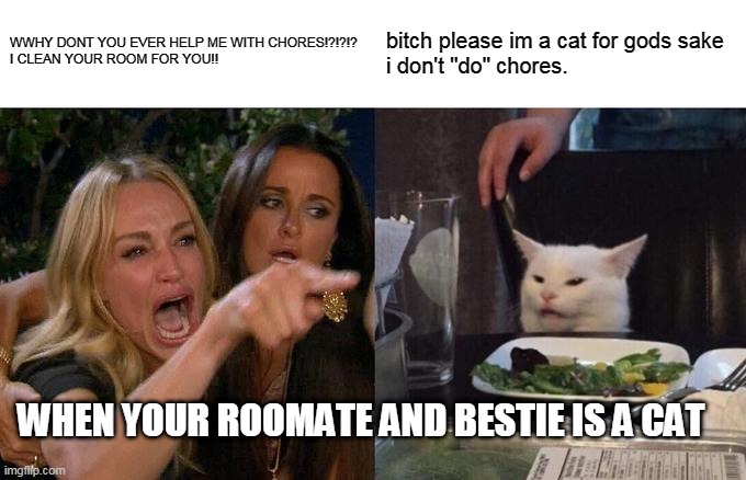 Woman Yelling At Cat Meme | WWHY DONT YOU EVER HELP ME WITH CHORES!?!?!?
I CLEAN YOUR ROOM FOR YOU!! b**ch please im a cat for gods sake
i don't "do" chores. WHEN YOUR  | image tagged in memes,woman yelling at cat | made w/ Imgflip meme maker
