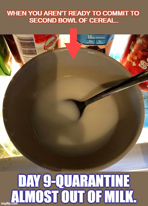 Milk | WHEN YOU AREN'T READY TO COMMIT TO 
SECOND BOWL OF CEREAL.. DAY 9-QUARANTINE
ALMOST OUT OF MILK. | image tagged in quarantine | made w/ Imgflip meme maker