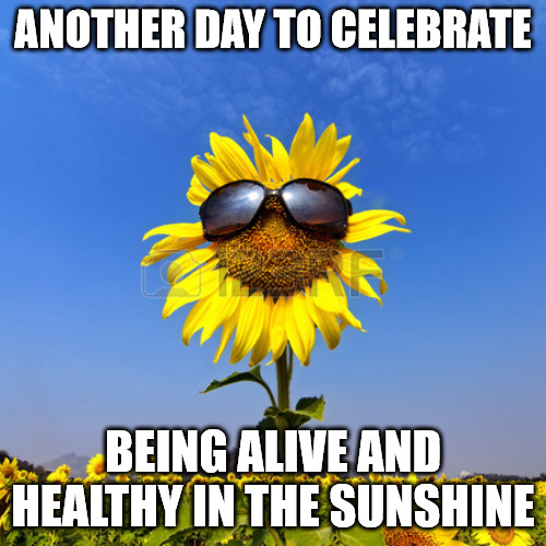 sunflower sunglasses | ANOTHER DAY TO CELEBRATE; BEING ALIVE AND HEALTHY IN THE SUNSHINE | image tagged in sunflower sunglasses | made w/ Imgflip meme maker