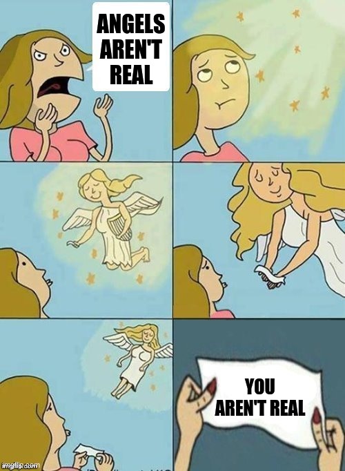 We don't care | ANGELS
AREN'T
REAL; YOU AREN'T REAL | image tagged in we don't care | made w/ Imgflip meme maker