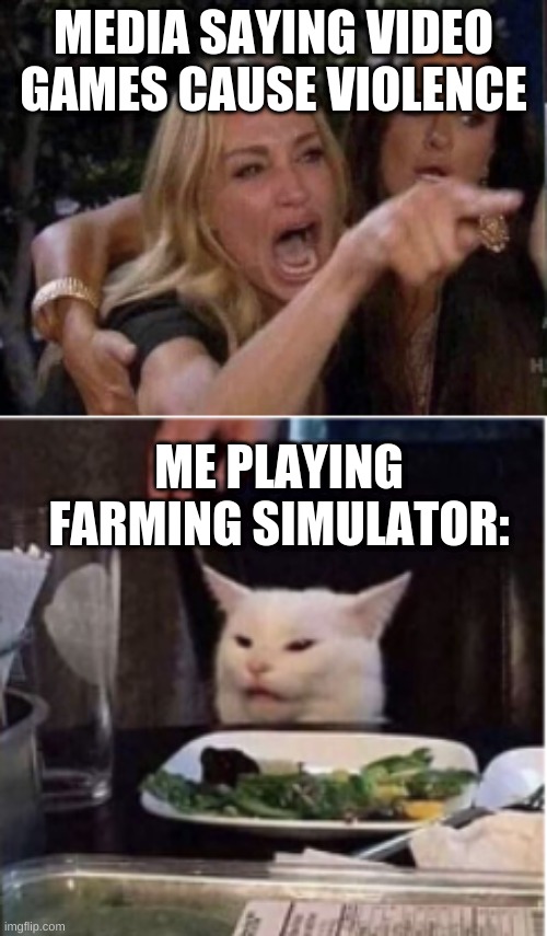 ViDeO gAmEs CaUsE vIoLeNcEpt. 1pt. 2: https://imgflip.com/i/3uz44u | MEDIA SAYING VIDEO GAMES CAUSE VIOLENCE; ME PLAYING FARMING SIMULATOR: | image tagged in video games cause violence media,lol,woman yelling at cat | made w/ Imgflip meme maker