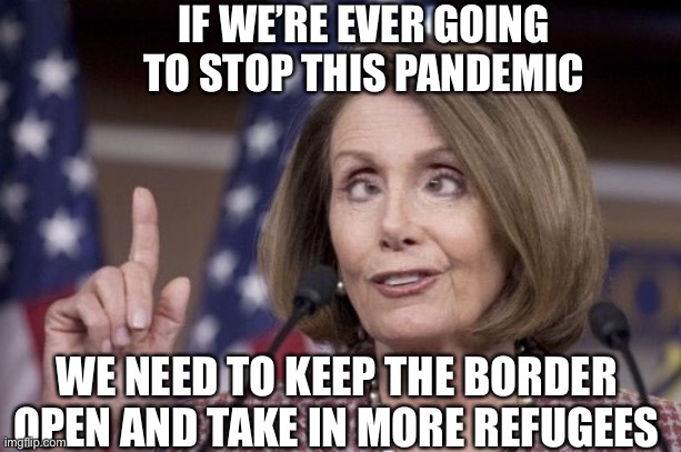 Nancy pelosi | IF WE’RE EVER GOING TO STOP THIS PANDEMIC; WE NEED TO KEEP THE BORDER OPEN AND TAKE IN MORE REFUGEES | image tagged in nancy pelosi,nancy pelosi wtf,nancy pelosi is crazy,coronavirus,covid-19 | made w/ Imgflip meme maker