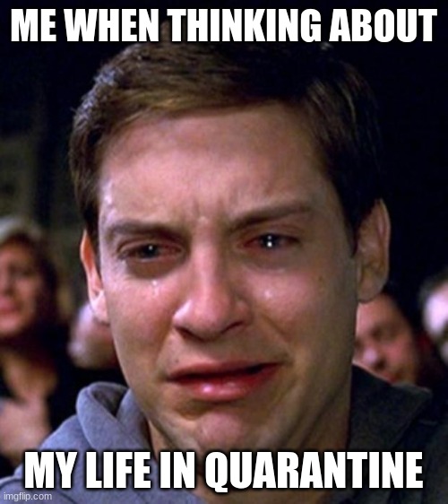 ME WHEN THINKING ABOUT MY LIFE IN QUARANTINE | image tagged in crying peter parker | made w/ Imgflip meme maker
