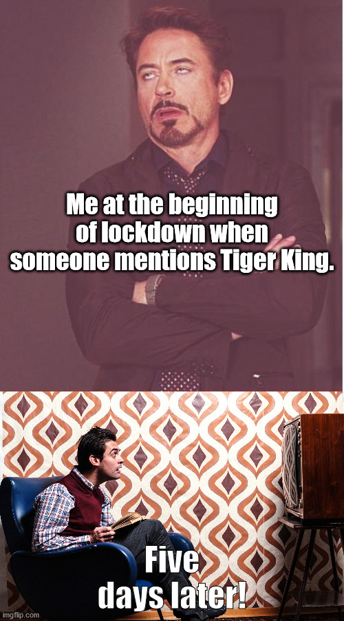 Me at the beginning of lockdown when someone mentions Tiger King. Five days later! | image tagged in memes,face you make robert downey jr | made w/ Imgflip meme maker