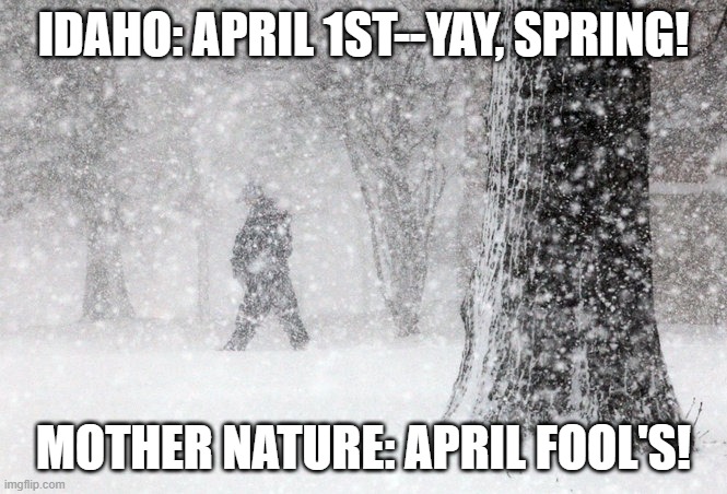 Snowstorm | IDAHO: APRIL 1ST--YAY, SPRING! MOTHER NATURE: APRIL FOOL'S! | image tagged in snowstorm | made w/ Imgflip meme maker
