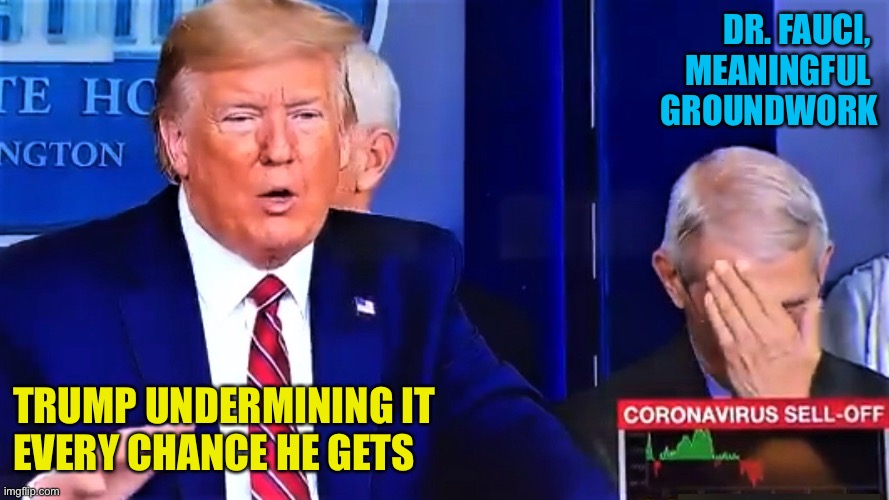 Trump talks bullshit, Dr. Anthony Fauci facepalm | DR. FAUCI, 
MEANINGFUL 
GROUNDWORK; TRUMP UNDERMINING IT
EVERY CHANCE HE GETS | image tagged in trump talks bullshit dr anthony fauci facepalm | made w/ Imgflip meme maker