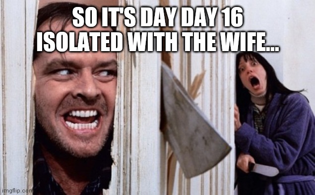 Honey, I'm (still ) home | SO IT'S DAY DAY 16 ISOLATED WITH THE WIFE... | image tagged in shining_full_axe | made w/ Imgflip meme maker